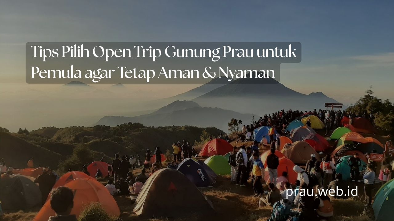 Tips Pilih Open Trip Gunung Prau untuk Pemula agar Tetap Aman & Nyaman